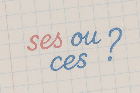 Rêver d’araignées Rêver d’araignées